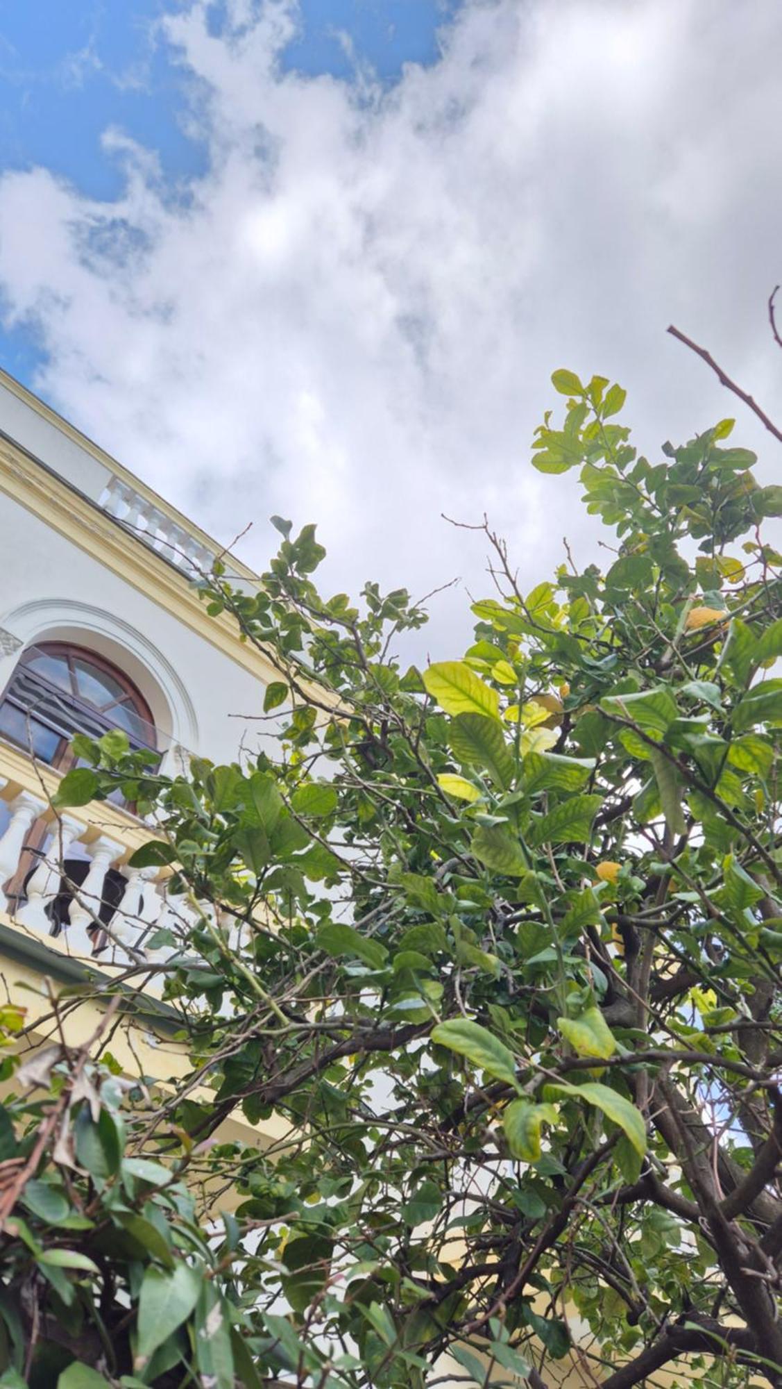 Relais Villa Montedonzelli Неаполь Екстер'єр фото